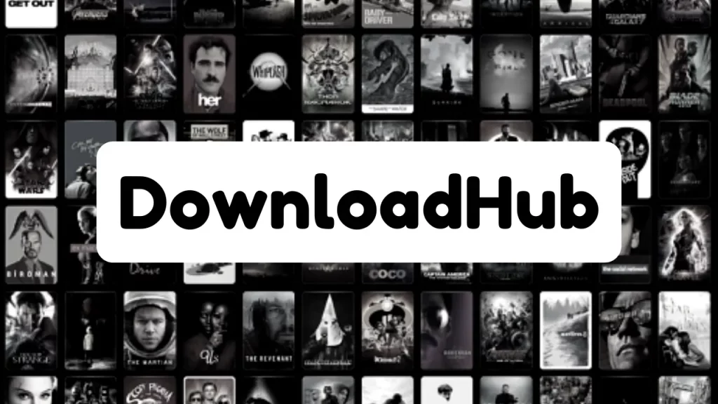 DownloadHub